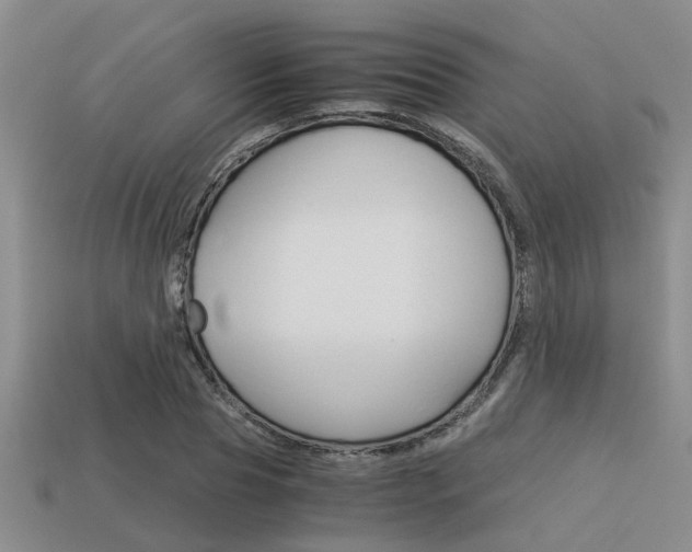 X0000113590929200909181045
