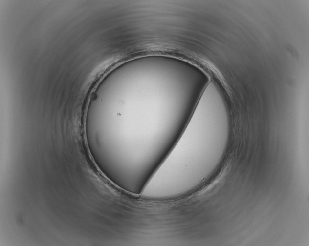 X0000113590930200909181045