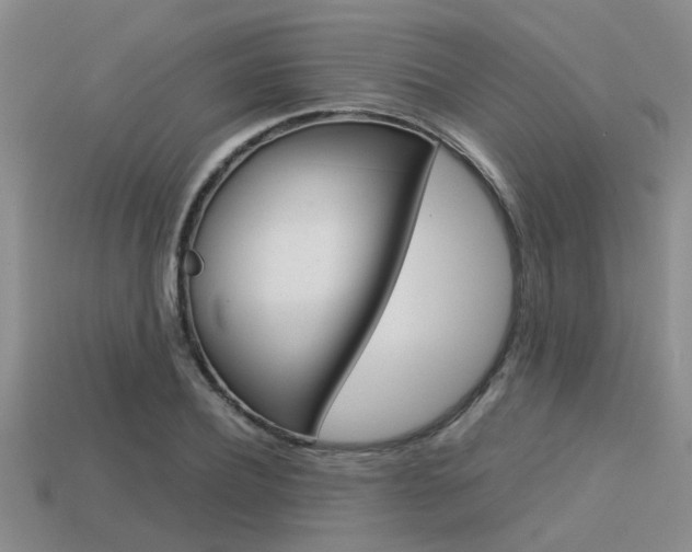 X0000113590932200909181045