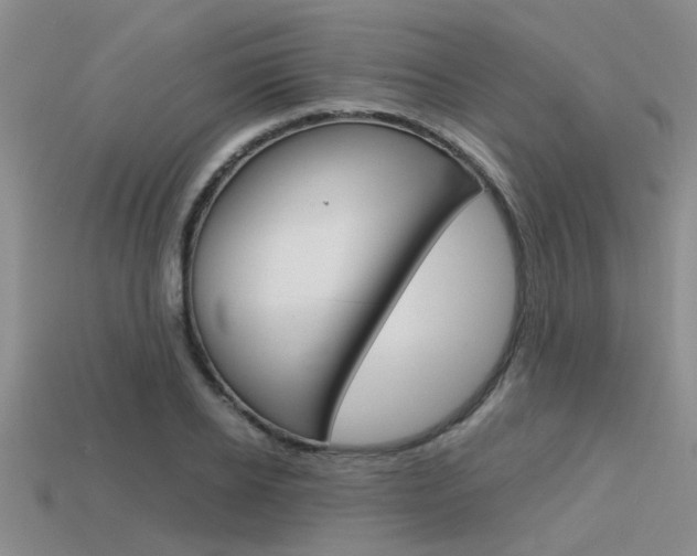 X0000113590934200909181045