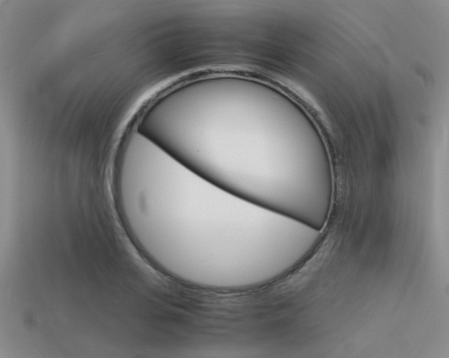 X0000113590935200909181045