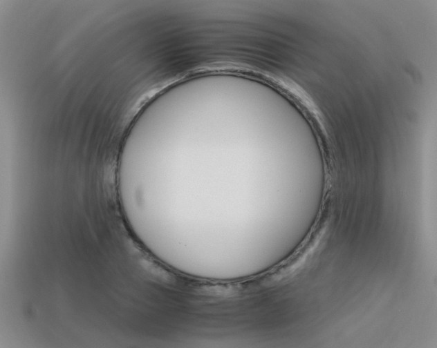 X0000113590937200909181045
