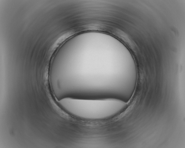X0000113590938200909181045