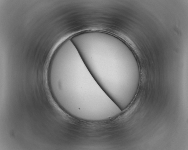 X0000113590939200909181045