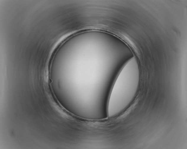 X0000113590940200909181045