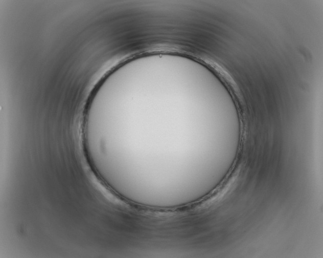 X0000113590941200909181045