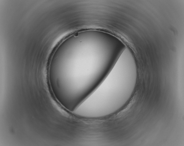 X0000113590942200909181045