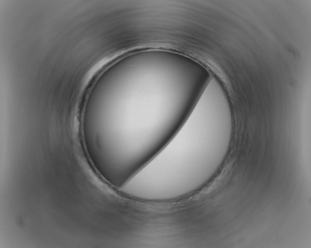 X0000113590944200909181045