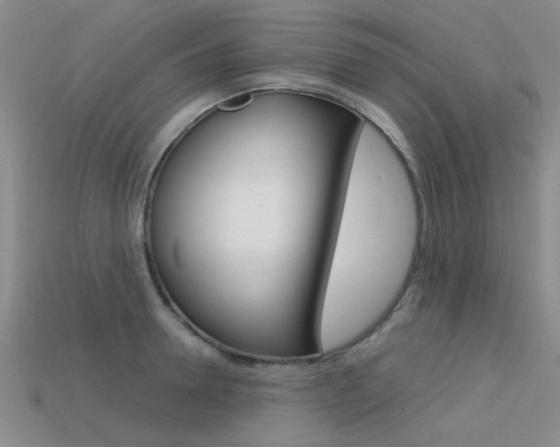 X0000113590946200909181045