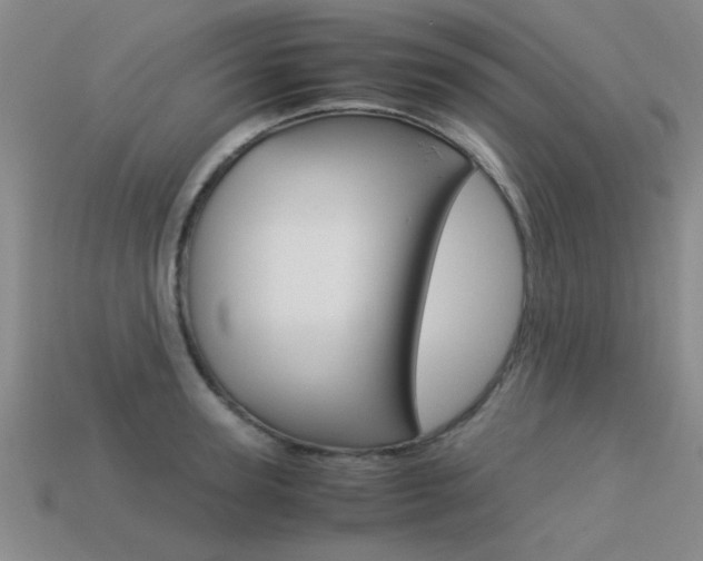 X0000113590947200909181045