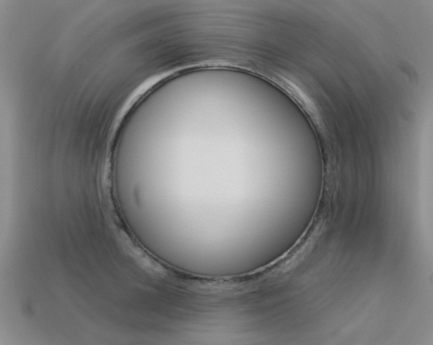 X0000113590948200909181045