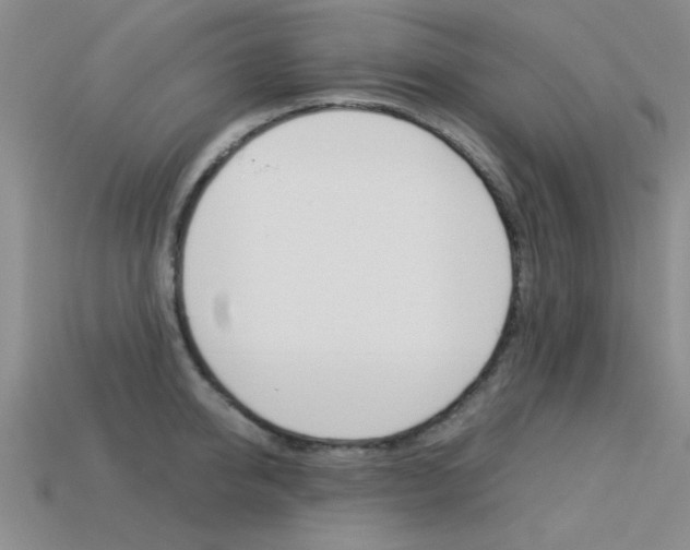 X0000113590950200909181045