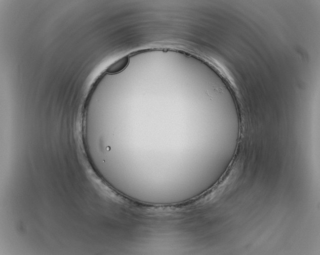 X0000113590952200909181045