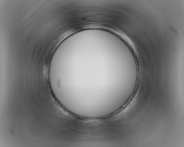 X0000113590953200909181045