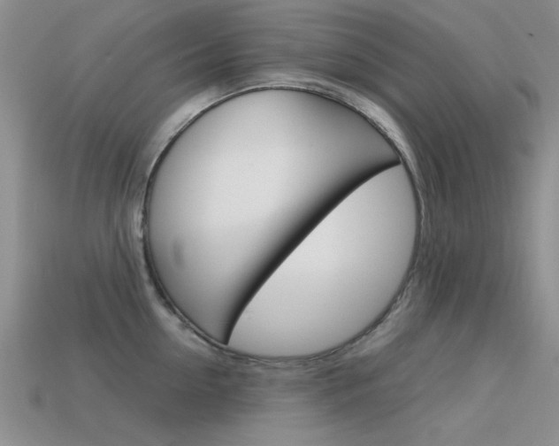X0000113590954200909181045