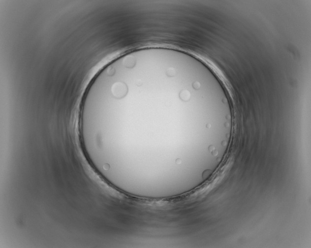 X0000113590957200909181045