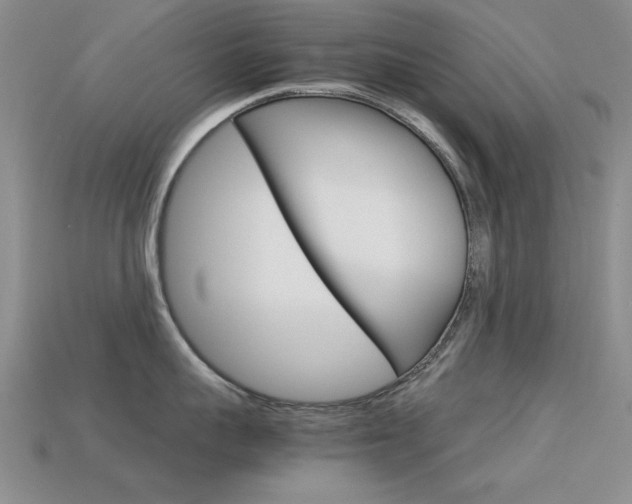 X0000113590959200909181045