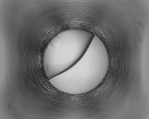 X0000113590964200909181045