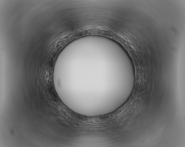 X0000113590966200909181045
