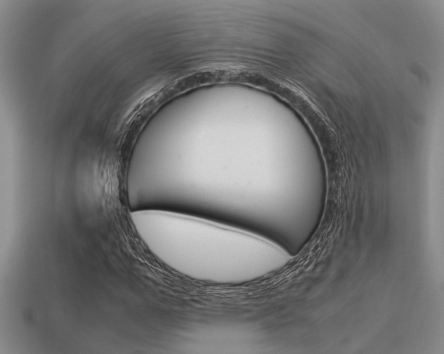 X0000113590967200909181045