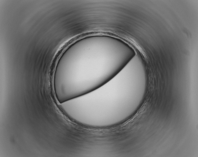 X0000113590972200909181045