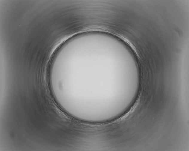 X0000113590973200909181045