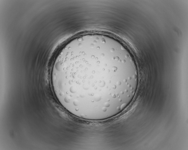 X0000113590974200909181045