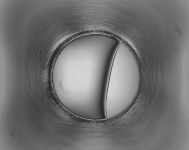 X0000113590975200909181045
