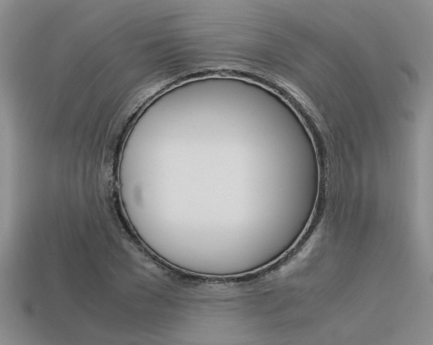 X0000113590977200909181044