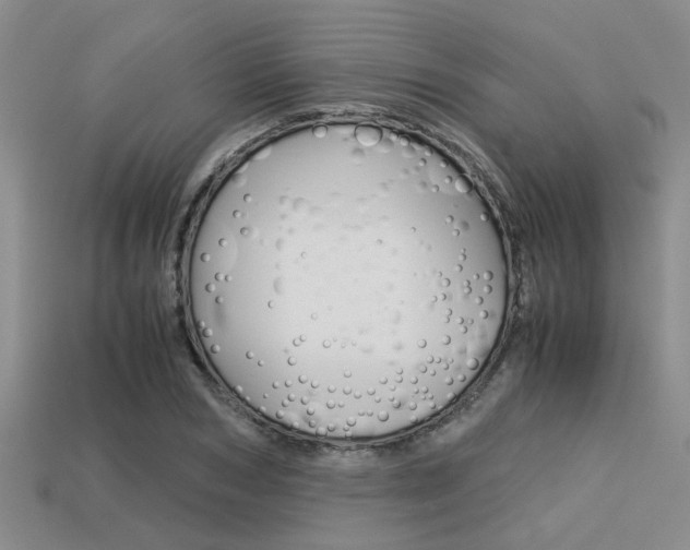 X0000113590978200909181044