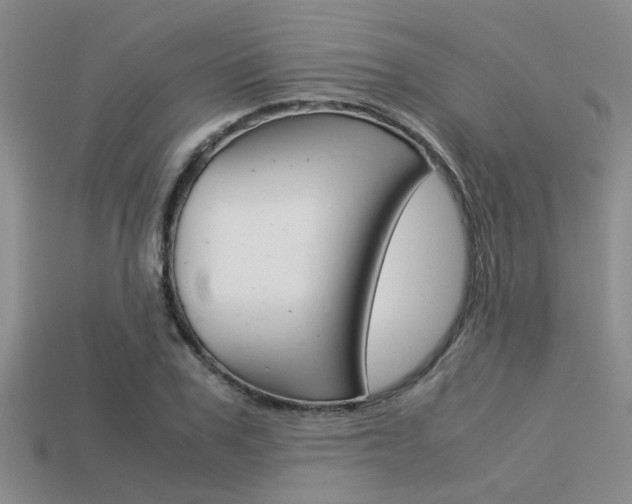 X0000113590979200909181044