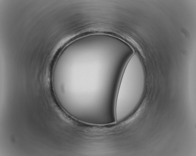 X0000113590981200909181044