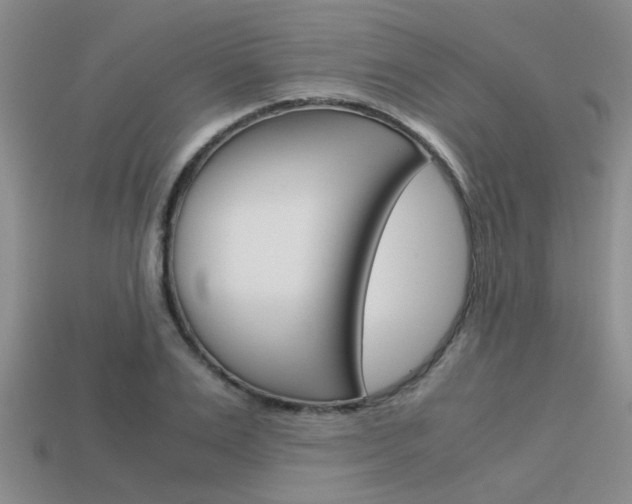 X0000113590983200909181044