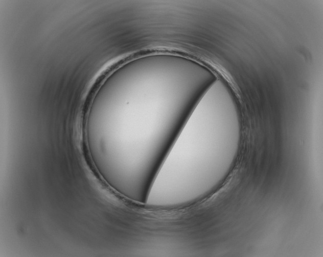 X0000113590984200909181044