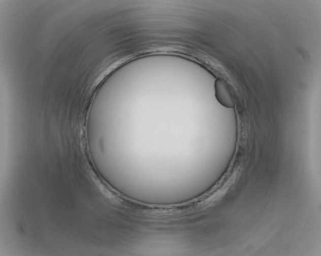 X0000113590985200909181044