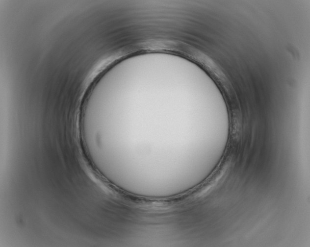 X0000113590986200909181044