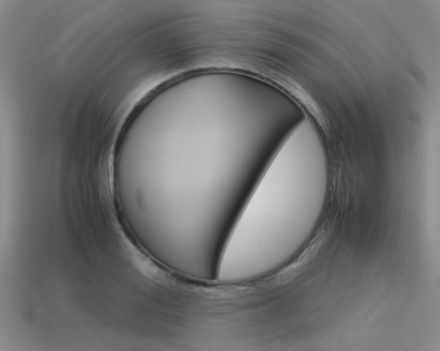 X0000113590988200909181044