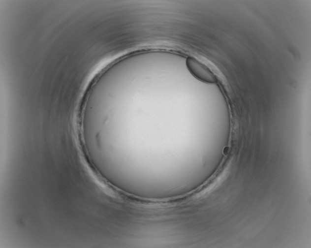 X0000113590989200909181044