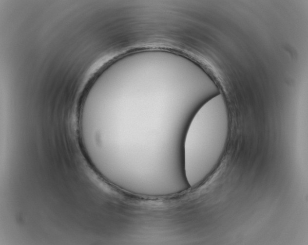 X0000113590990200909181044