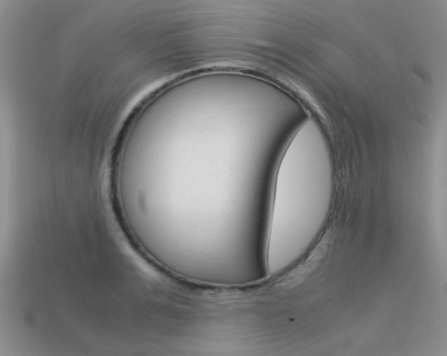 X0000113590991200909181044