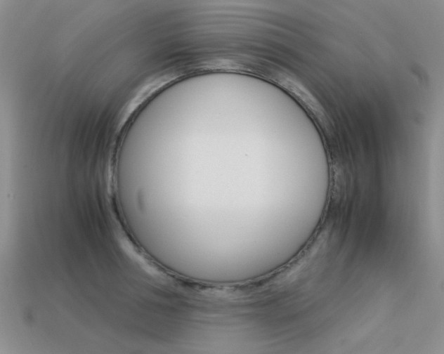 X0000113590994200909181044