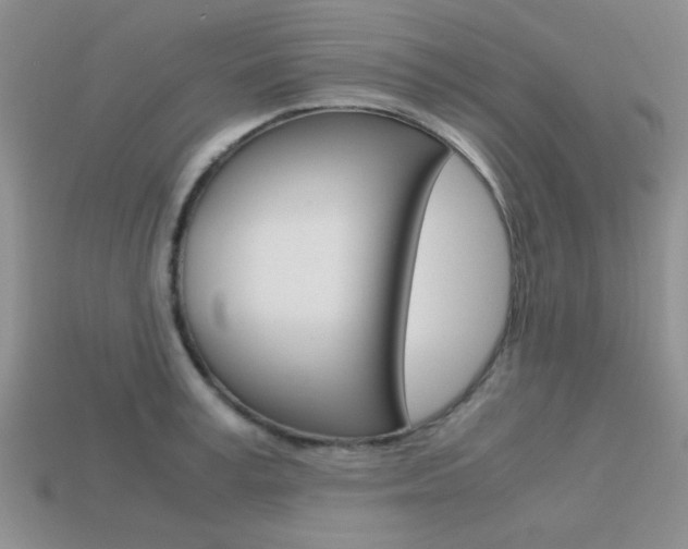 X0000113590995200909181044