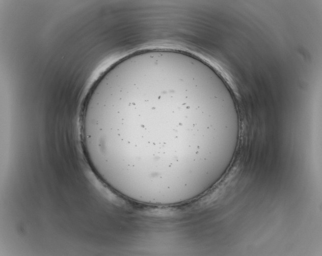 X0000113590998200909181044