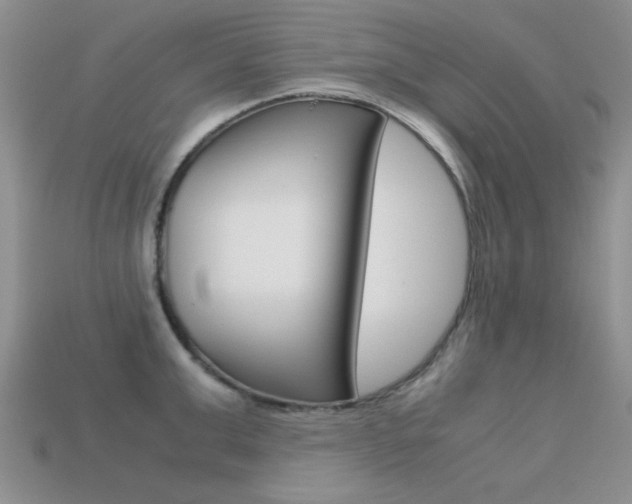 X0000113590999200909181044