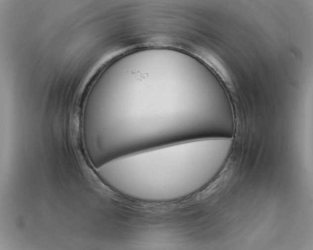 X0000113591000200909181044