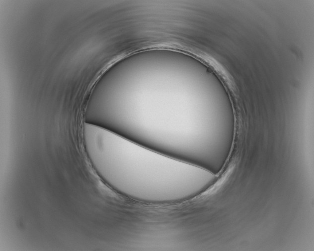 X0000113591001200909181044
