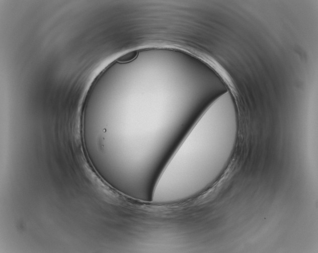 X0000113591004200909181044