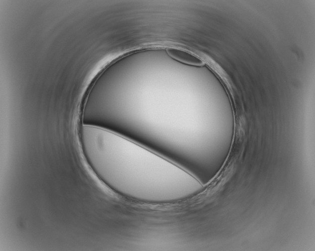 X0000113591005200909181044