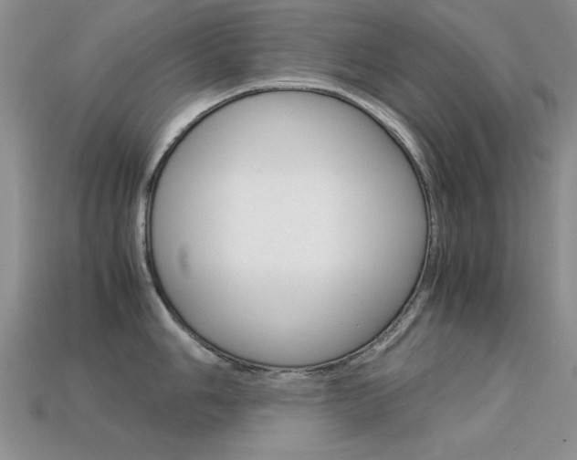 X0000113591006200909181044