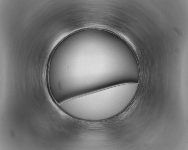 X0000113591007200909181044